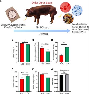 Alginate oligosaccharide extends the service lifespan by improving the sperm metabolome and gut microbiota in an aging Duroc boars model